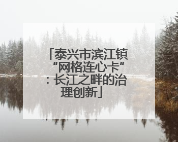 泰兴市滨江镇“网格连心卡”：长江之畔的治理创新