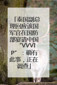 泰国副总理回应该国军官在国防部宴请中国“VVVIP”：确有此事，正在调查