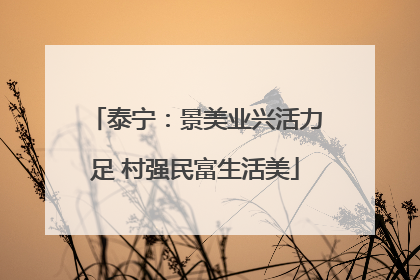 泰宁：景美业兴活力足 村强民富生活美