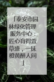 泰安市园林绿化管理服务中心：匠心育得萱草盛，一抹橙黄醉人间