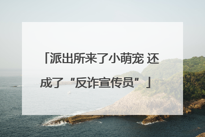 派出所来了小萌宠 还成了“反诈宣传员”