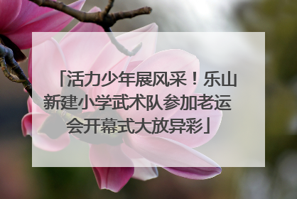 活力少年展风采！乐山新建小学武术队参加老运会开幕式大放异彩