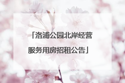洛浦公园北岸经营服务用房招租公告