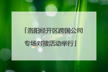 洛阳经开区跨国公司专场对接活动举行