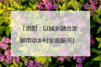 洛阳：以城乡融合发展带动乡村全面振兴