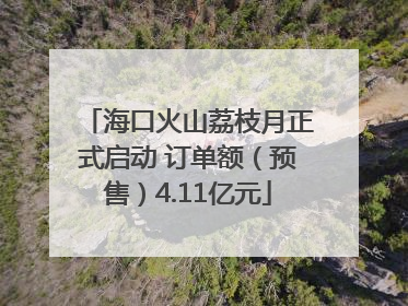 海口火山荔枝月正式启动 订单额（预售）4.11亿元