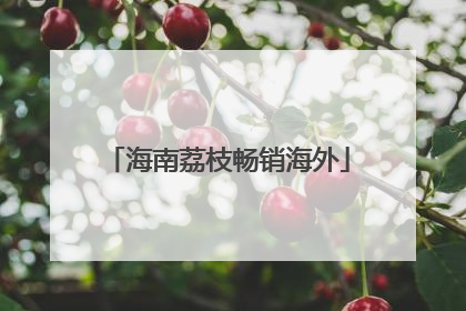 海南荔枝畅销海外