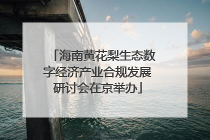 海南黄花梨生态数字经济产业合规发展研讨会在京举办