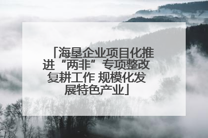 海垦企业项目化推进“两非”专项整改复耕工作 规模化发展特色产业