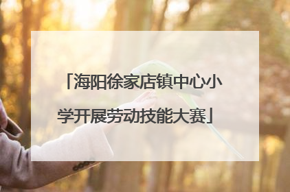 海阳徐家店镇中心小学开展劳动技能大赛