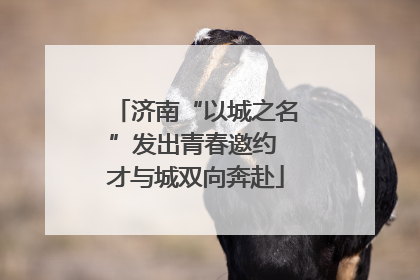 济南“以城之名”发出青春邀约 才与城双向奔赴