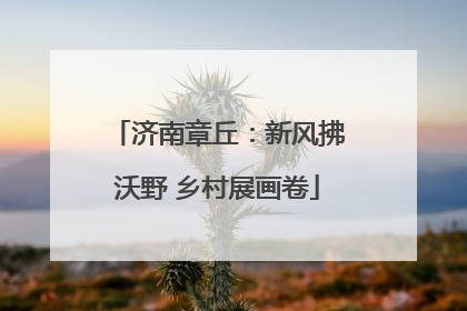 济南章丘：新风拂沃野 乡村展画卷