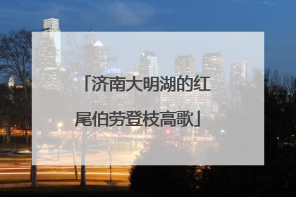 济南大明湖的红尾伯劳登枝高歌