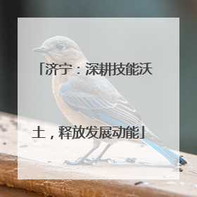 济宁：深耕技能沃土，释放发展动能