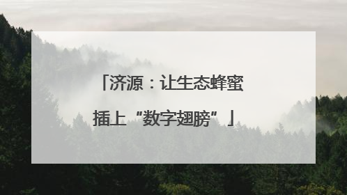 济源：让生态蜂蜜插上“数字翅膀”