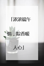 浓浓端午情，粽香暖人心