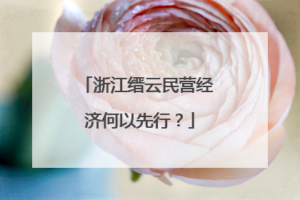 浙江缙云民营经济何以先行？