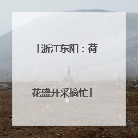 浙江东阳：荷花盛开采摘忙