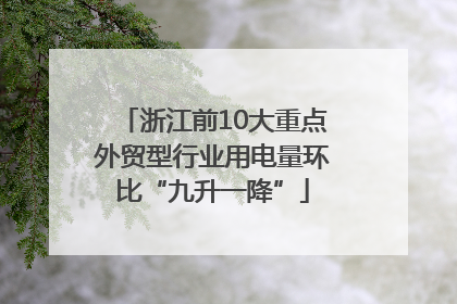 浙江前10大重点外贸型行业用电量环比“九升一降”