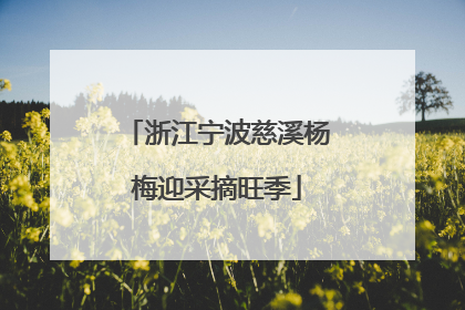 浙江宁波慈溪杨梅迎采摘旺季