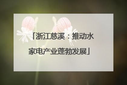 浙江慈溪：推动水家电产业蓬勃发展