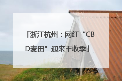 浙江杭州：网红“CBD麦田”迎来丰收季