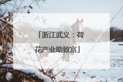 浙江武义：荷花产业助致富