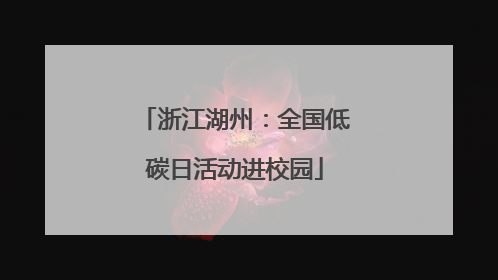 浙江湖州：全国低碳日活动进校园