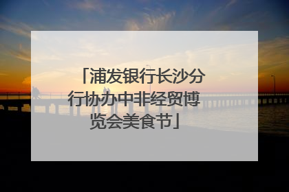 浦发银行长沙分行协办中非经贸博览会美食节