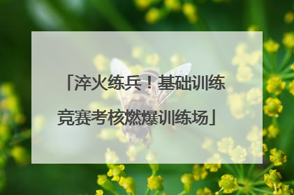 淬火练兵！基础训练竞赛考核燃爆训练场
