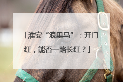淮安“浪里马”：开门红，能否一路长红？