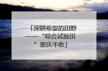 深耕希望的田野——“综合试验田”里庆丰收