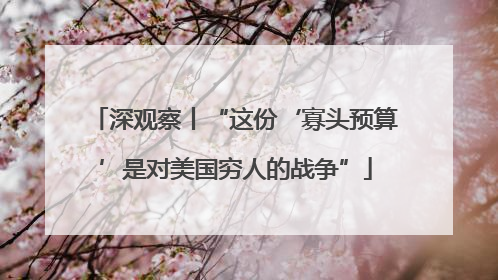 深观察丨“这份‘寡头预算’是对美国穷人的战争”