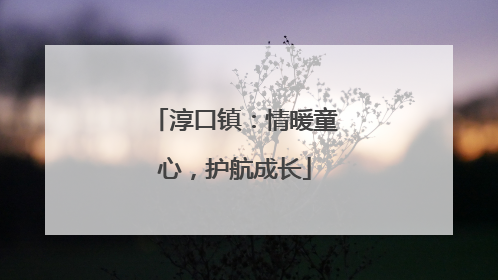 淳口镇：情暖童心，护航成长