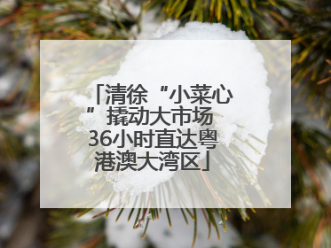 清徐“小菜心”撬动大市场 36小时直达粤港澳大湾区