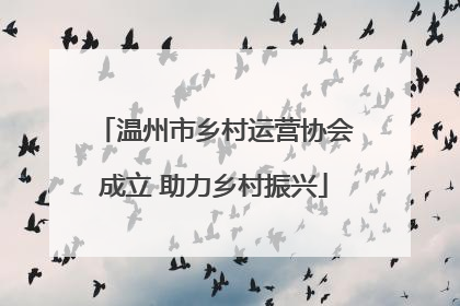 温州市乡村运营协会成立 助力乡村振兴