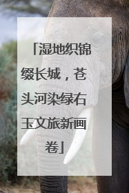 湿地织锦缀长城，苍头河染绿右玉文旅新画卷