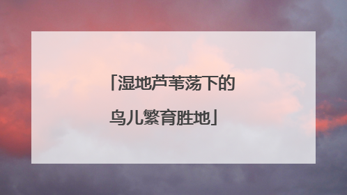 湿地芦苇荡下的鸟儿繁育胜地