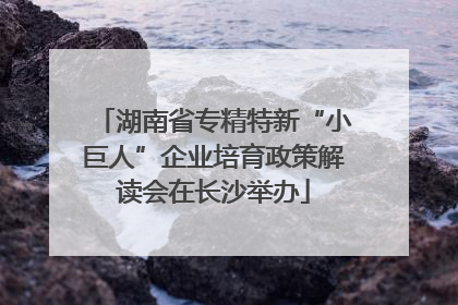 湖南省专精特新“小巨人”企业培育政策解读会在长沙举办