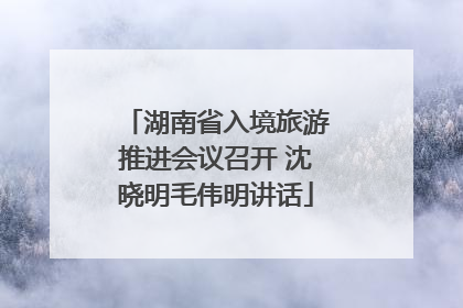 湖南省入境旅游推进会议召开 沈晓明毛伟明讲话