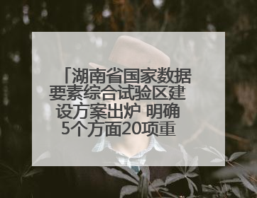 湖南省国家数据要素综合试验区建设方案出炉 明确5个方面20项重点任务