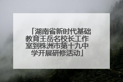 湖南省新时代基础教育王岳名校长工作室到株洲市第十九中学开展研修活动