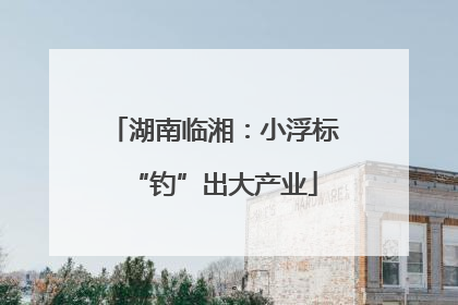 湖南临湘：小浮标“钓”出大产业