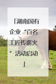 湖南国有企业“百名工匠传薪火”活动启动