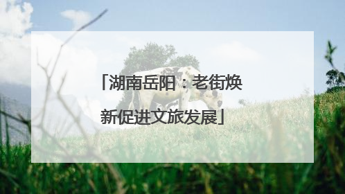 湖南岳阳：老街焕新促进文旅发展