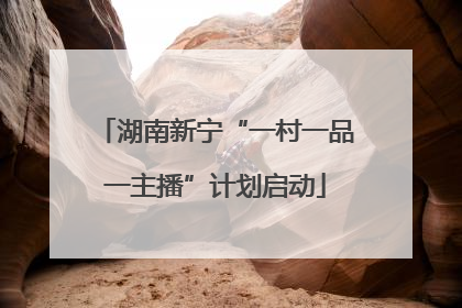 湖南新宁“一村一品一主播”计划启动