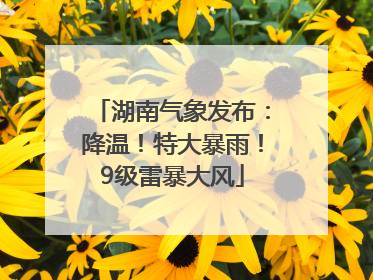 湖南气象发布：降温！特大暴雨！9级雷暴大风
