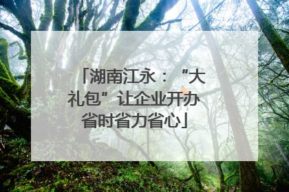 湖南江永：“大礼包”让企业开办省时省力省心