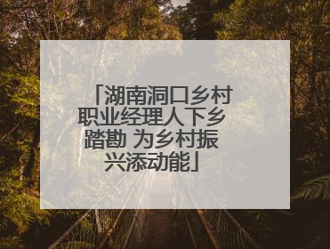 湖南洞口乡村职业经理人下乡踏勘 为乡村振兴添动能