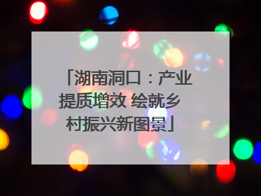 湖南洞口：产业提质增效 绘就乡村振兴新图景